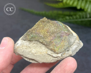 Rainbow Pyrite #6