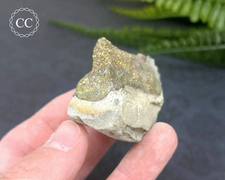 Rainbow Pyrite #6