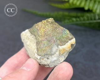 Rainbow Pyrite #6