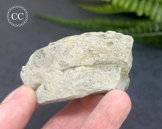 Rainbow Pyrite #6
