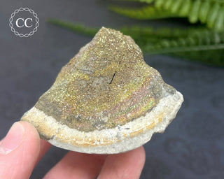 Rainbow Pyrite #7