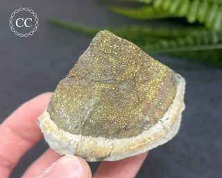 Rainbow Pyrite #7