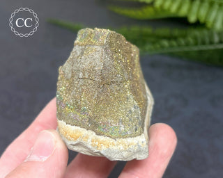 Rainbow Pyrite #7