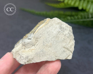 Rainbow Pyrite #7