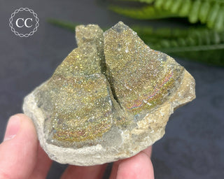 Rainbow Pyrite #8