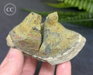 Rainbow Pyrite #8