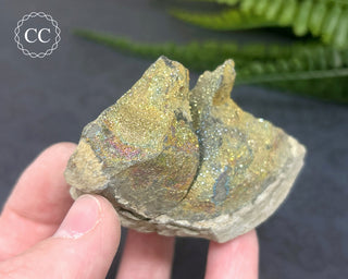 Rainbow Pyrite #8