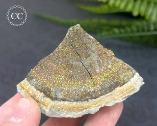 Rainbow Pyrite #9