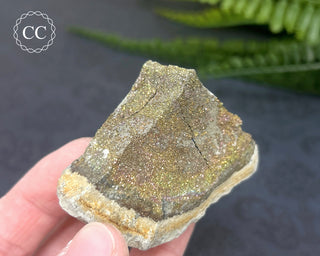 Rainbow Pyrite #9