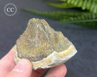 Rainbow Pyrite #9