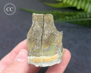 Rainbow Pyrite #9