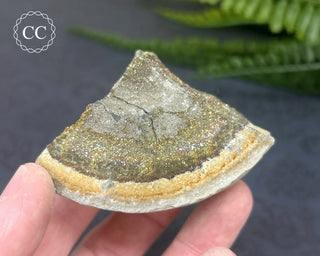 Rainbow Pyrite #9