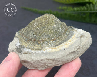 Rainbow Pyrite #2