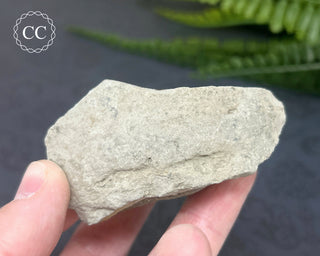 Rainbow Pyrite #9