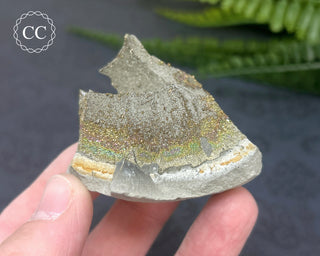 Rainbow Pyrite #10