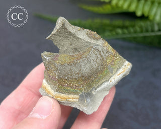 Rainbow Pyrite #10