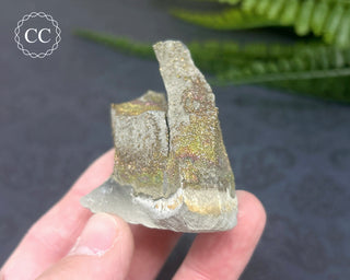 Rainbow Pyrite #10