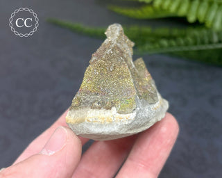 Rainbow Pyrite #10