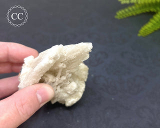 Rams Horn Selenite #2