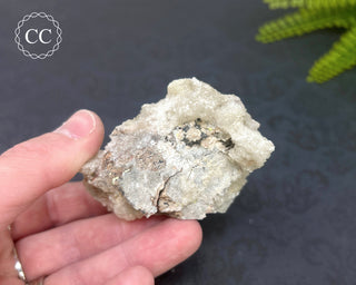 Rams Horn Selenite #2