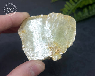 Roscoelite Specimen #2