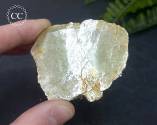 Roscoelite Specimen #2