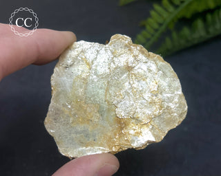 Roscoelite Specimen #2