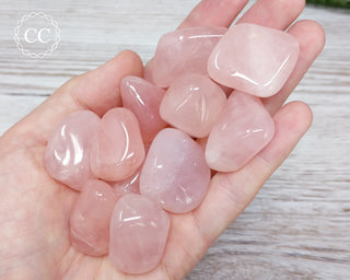 Rose Quartz Tumbled Crystals in hand