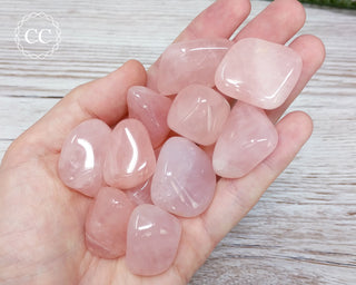 Rose Quartz Tumbled Crystal