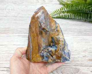 XL Pietersite #1