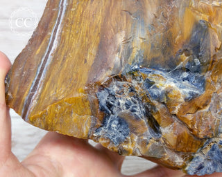 XL Pietersite #1