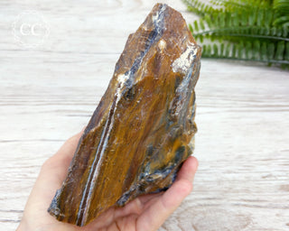 XL Pietersite #1