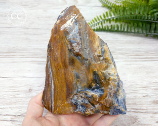 XL Pietersite #1