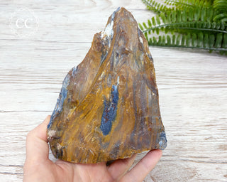 XL Pietersite #1