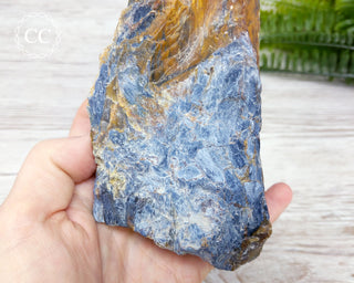XL Pietersite #1
