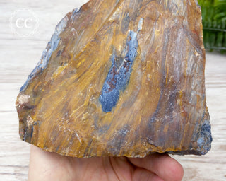 XL Pietersite #1