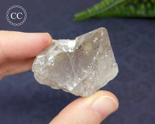 Rutilated Quartz Crystal #5