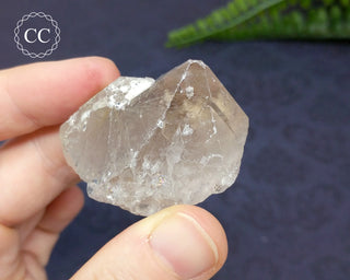 Rutilated Quartz Crystal #5