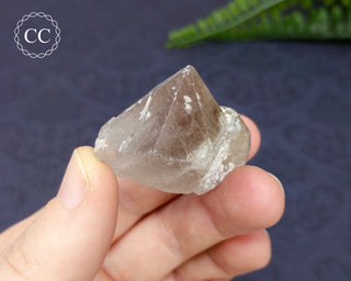 Rutilated Quartz Crystal #5
