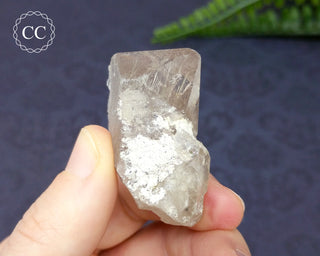 Rutilated Quartz Crystal #5