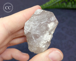 Rutilated Quartz Crystal #5