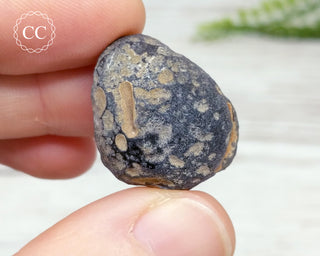 Saffordite #4