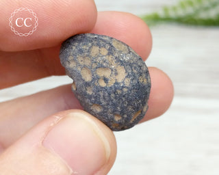 Saffordite #4
