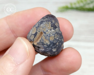 Saffordite #4