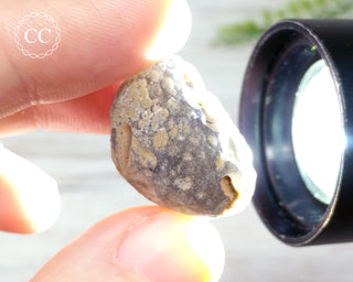 Saffordite #4