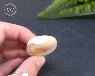 Scolecite & Stilbite Palm Stone #10