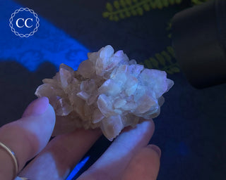 Selenite Cluster - UV Reactive #3
