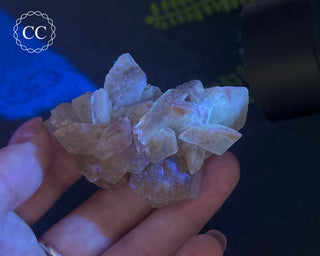 Selenite Cluster - UV Reactive #4