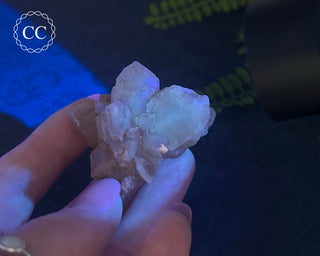 Selenite Cluster - UV Reactive #5