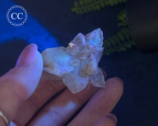 Selenite Cluster - UV Reactive #5